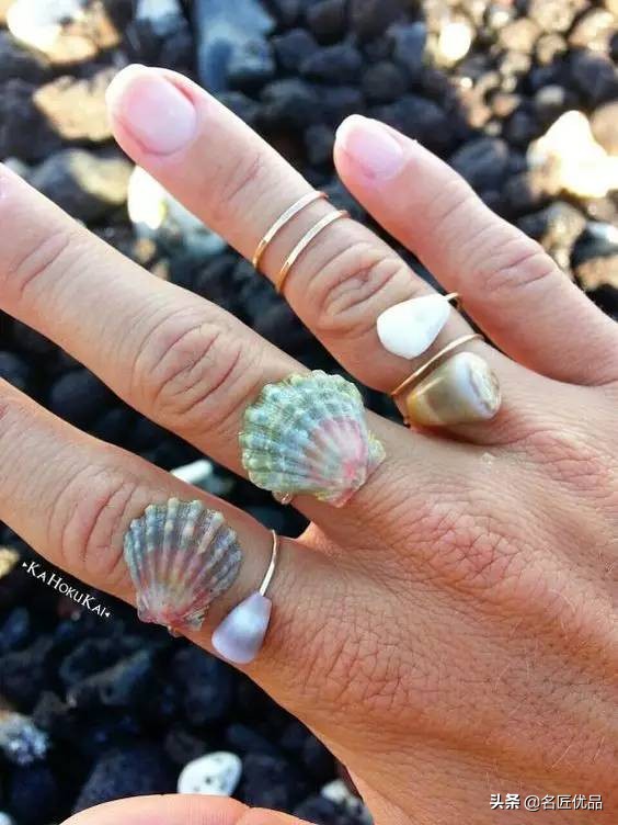 大海的馈赠咋做,大海的馈赠贝壳