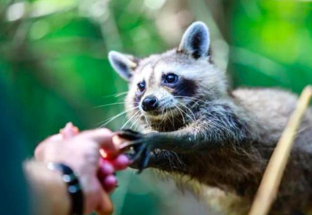 欧洲瘟疫死亡2500万人是哪一年,人类最大的瘟疫
