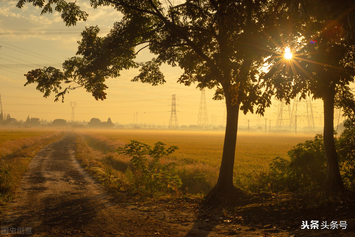 57岁阿姨退休生活,57岁阿姨的退休生活