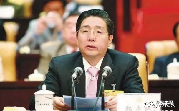 中央政法委书记：对长期无进展黑恶案件，依法采取异地用警等措施