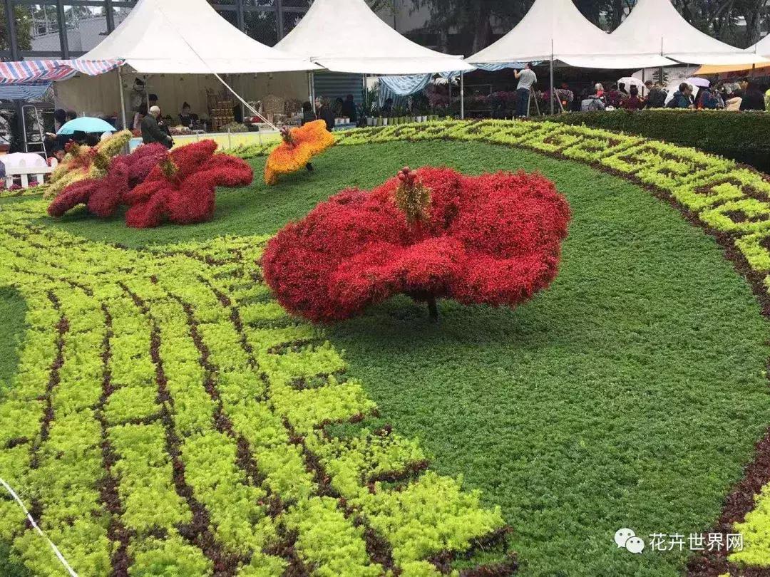 共赴盛会活动,香港国际花卉展