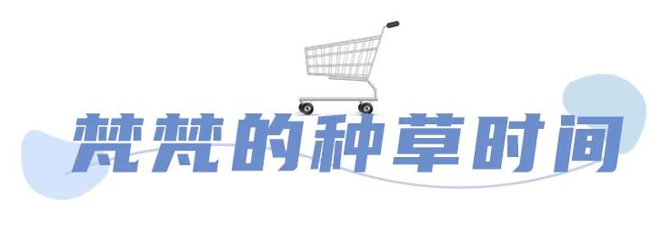 拼多多推荐少女心发带,又酷又时尚的发带