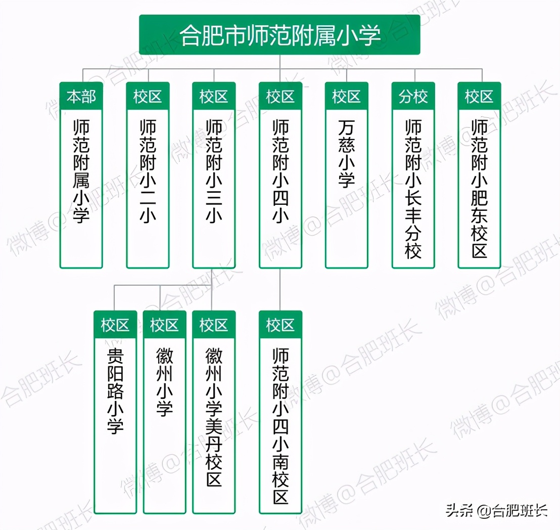 合肥师范附小哪个学校最好,合肥师范附小直属学校
