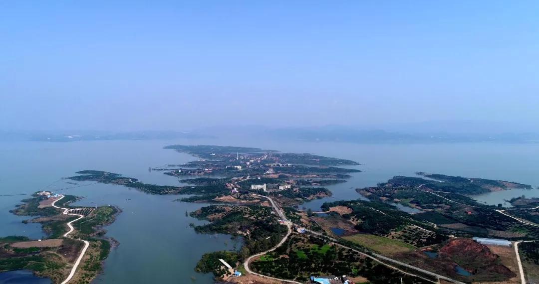 十堰新鲜采摘桃,十堰西沟桃子