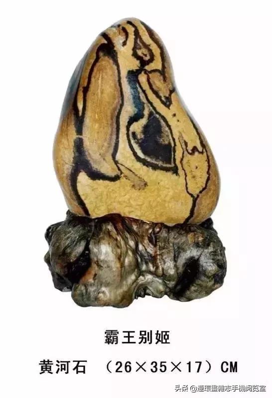 中国十大奇石之首,最全的中华奇石欣赏