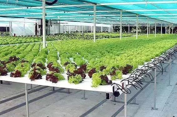 怎么配制无土栽培营养液,无土栽培的营养液是如何配制的