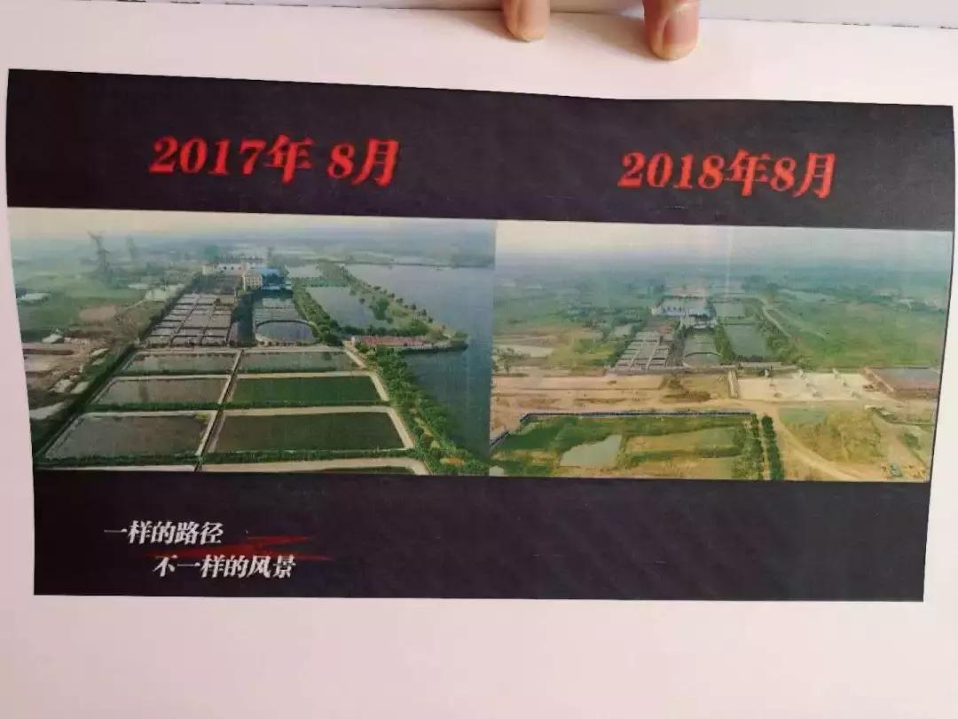 谁杀死了“大鱼”？——生死中华鲟