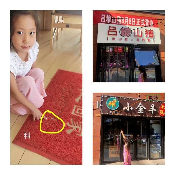 小学啄木鸟行动校外纠正错别字,啄木鸟找错别字实践活动