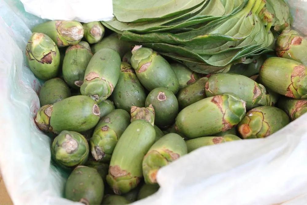 吃槟榔犯病是什么情况,吃槟榔脏器衰竭