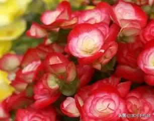 漯河美丽的沙澧河,美丽的漯河沙澧河风景区