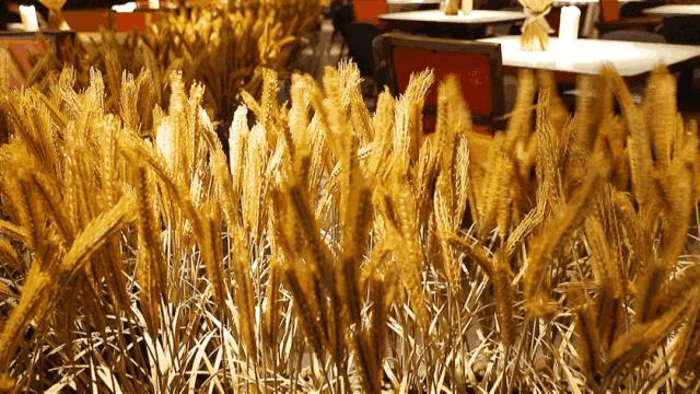 湘颂稻田里的盛宴团购套餐,湘颂稻田里的盛宴侨鑫店四人餐