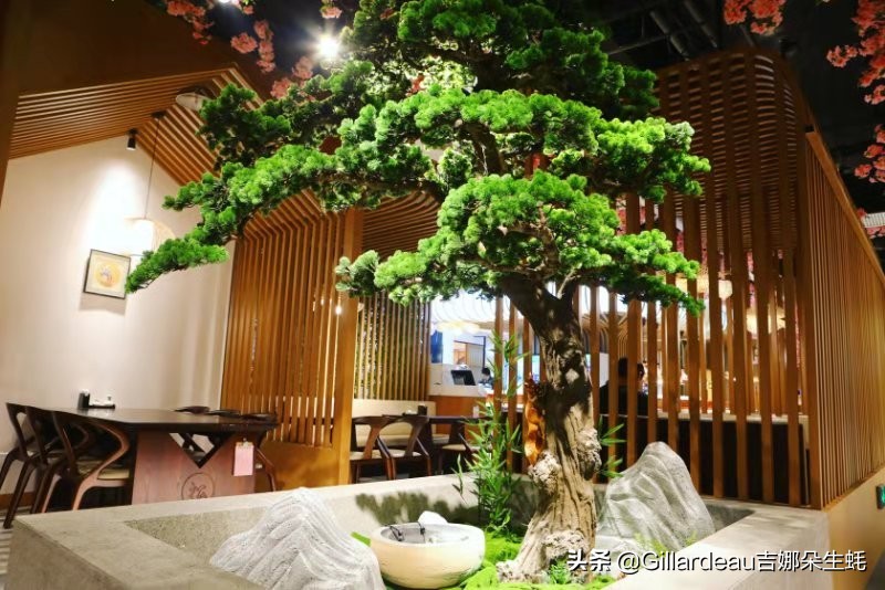 吉娜朵松子料理:在全面营业的日料店里,蚝自由地吃起来