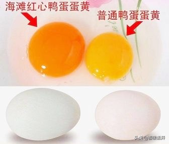 没想到一颗鸭蛋也能做出如此美味,如何用鸡蛋吃出蟹黄味