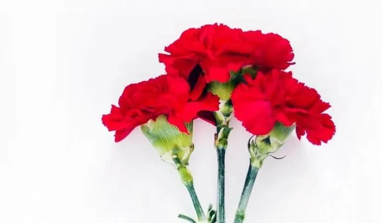 10句惊艳岁月的诗词,十首岁月静好的诗句