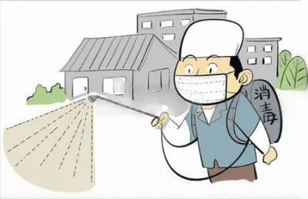 猪场带猪消毒=自残自害？消毒剂的正确使用，你都知道吗？