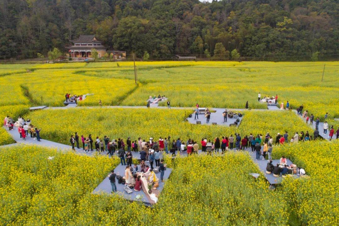 婺源油菜花节,2023婺源油菜花节