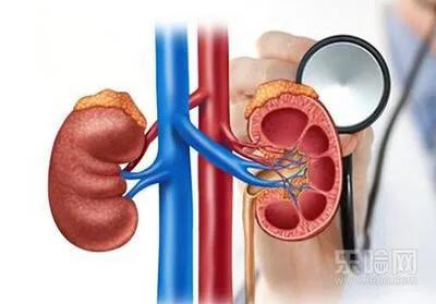 发现隐血和尿蛋白怎么治疗,尿潜血阳性是怎么回事严重吗