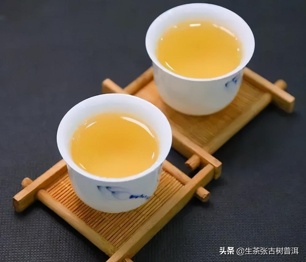 认识普洱茶入门基础知识,认识茶的基础知识
