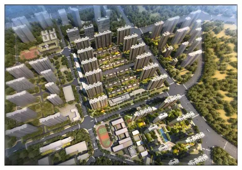 金科城网红,金科城改造