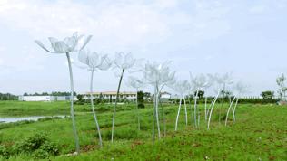 双流哪里可以赏花看飞机,双流附近赏花攻略路线