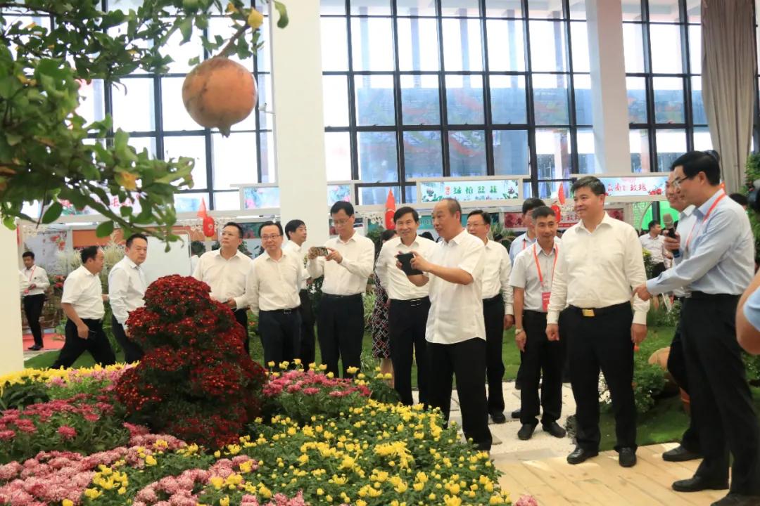 宿迁市沭阳县沭阳国际花木城,沭阳国际花木城布局