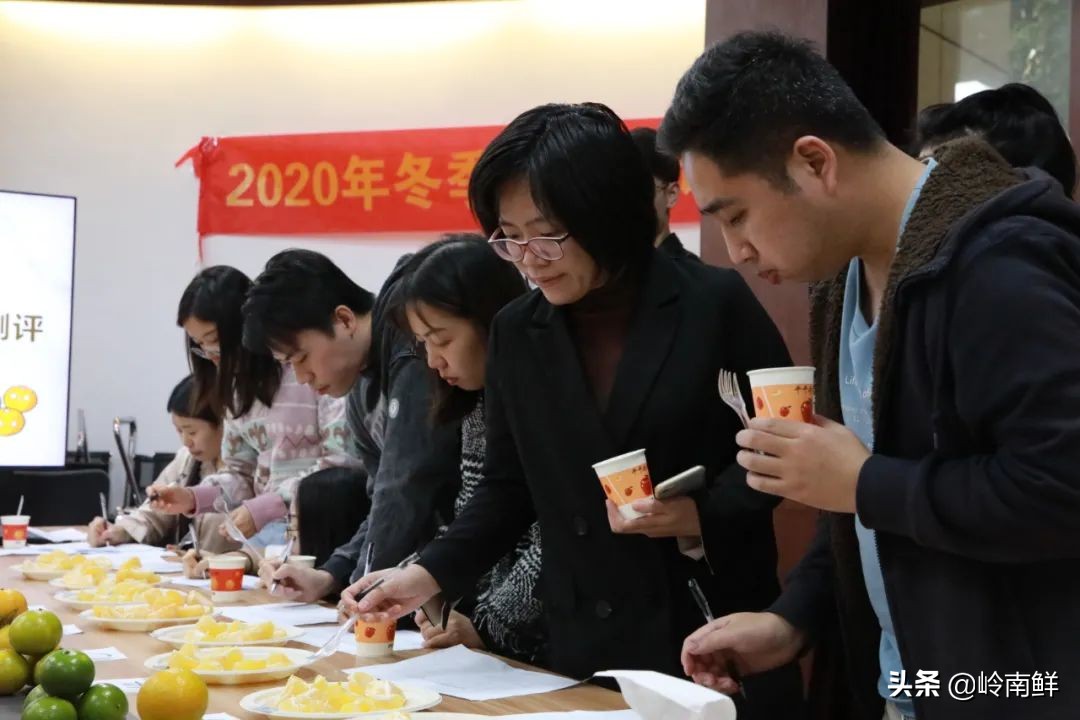 柑橘能吃出菠萝味？带你体验种植匠2020冬季柑橘橙测评