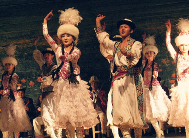 中国56个民族知识大全书籍,关于中国56个民族的知识