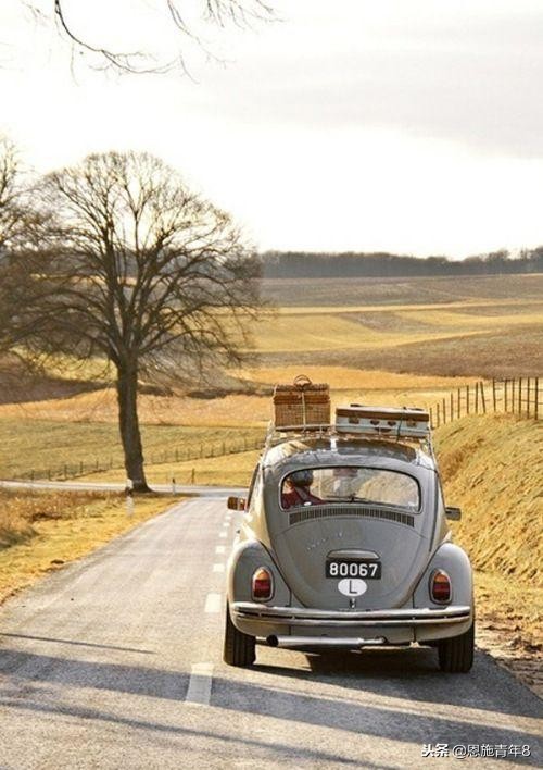 瞎编九条爱旅行的人的优点，不可不看