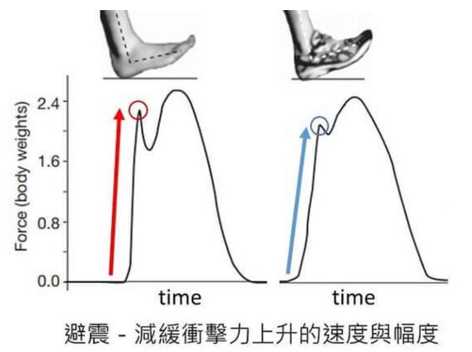 跑鞋避震和支撑推荐,跑鞋缓冲和避震的区别图片