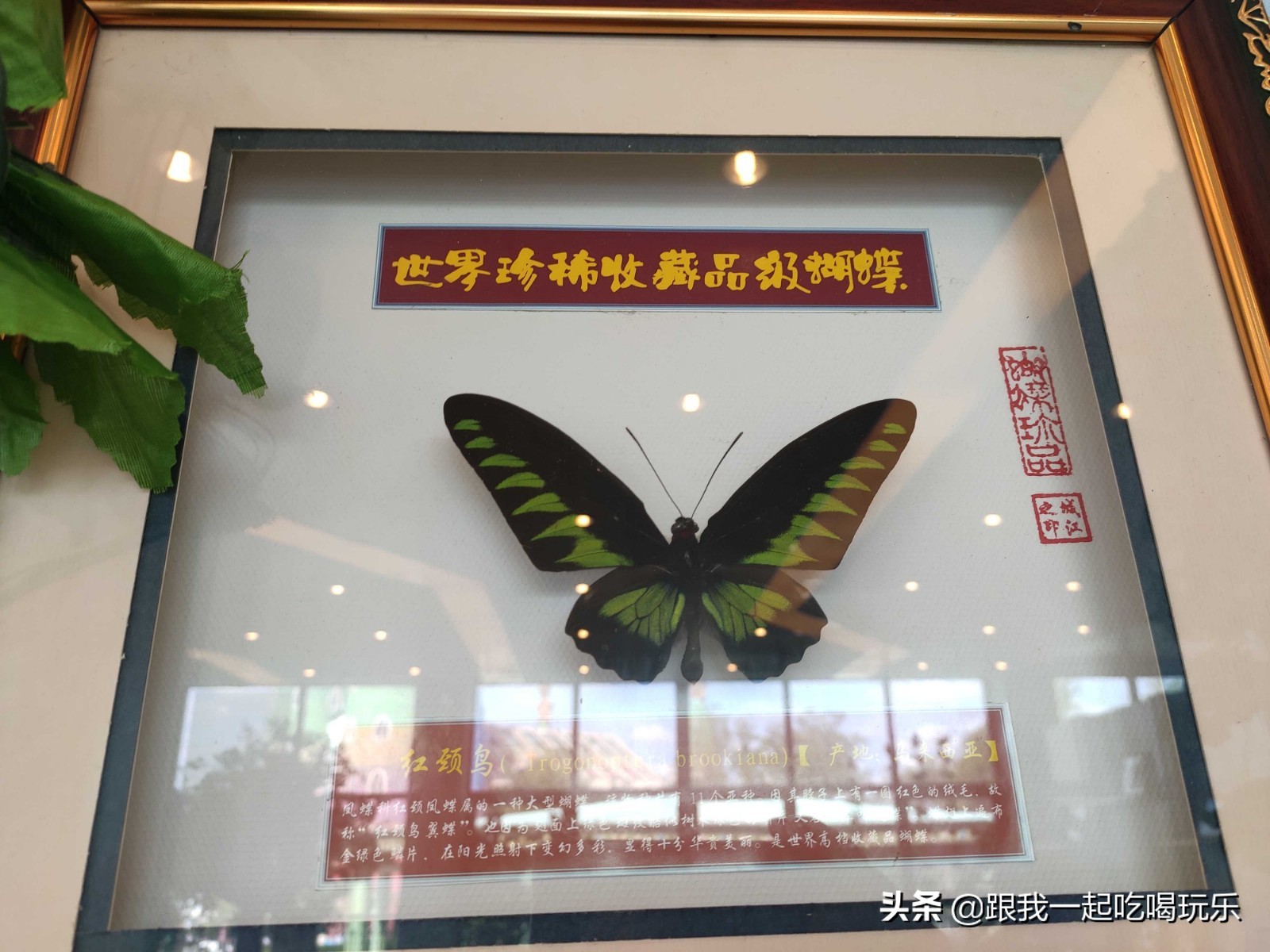 沈阳热高乐园丛林欢乐世界,沈阳丛林欢乐世界