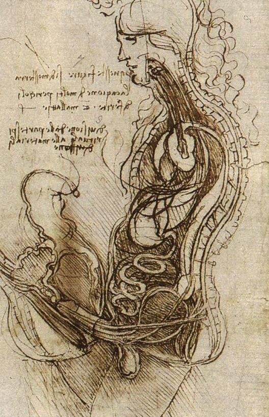 达芬奇绝无仅有的旷世奇才,奇人技能