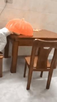 搞笑一刻网友对比美版M记大杯可乐与日本大杯可乐的容量差距