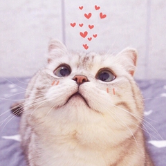 cad转pdf背景颜色,pdf签名有背景颜色怎么删除