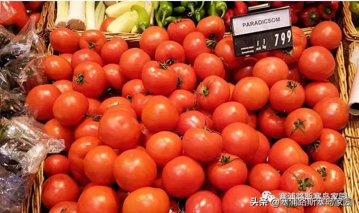 塞浦路斯日常开支,塞浦路斯为什么盛产果汁