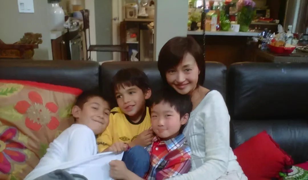 神雕侠侣播出盛况,神雕侠侣十六年之约大结局