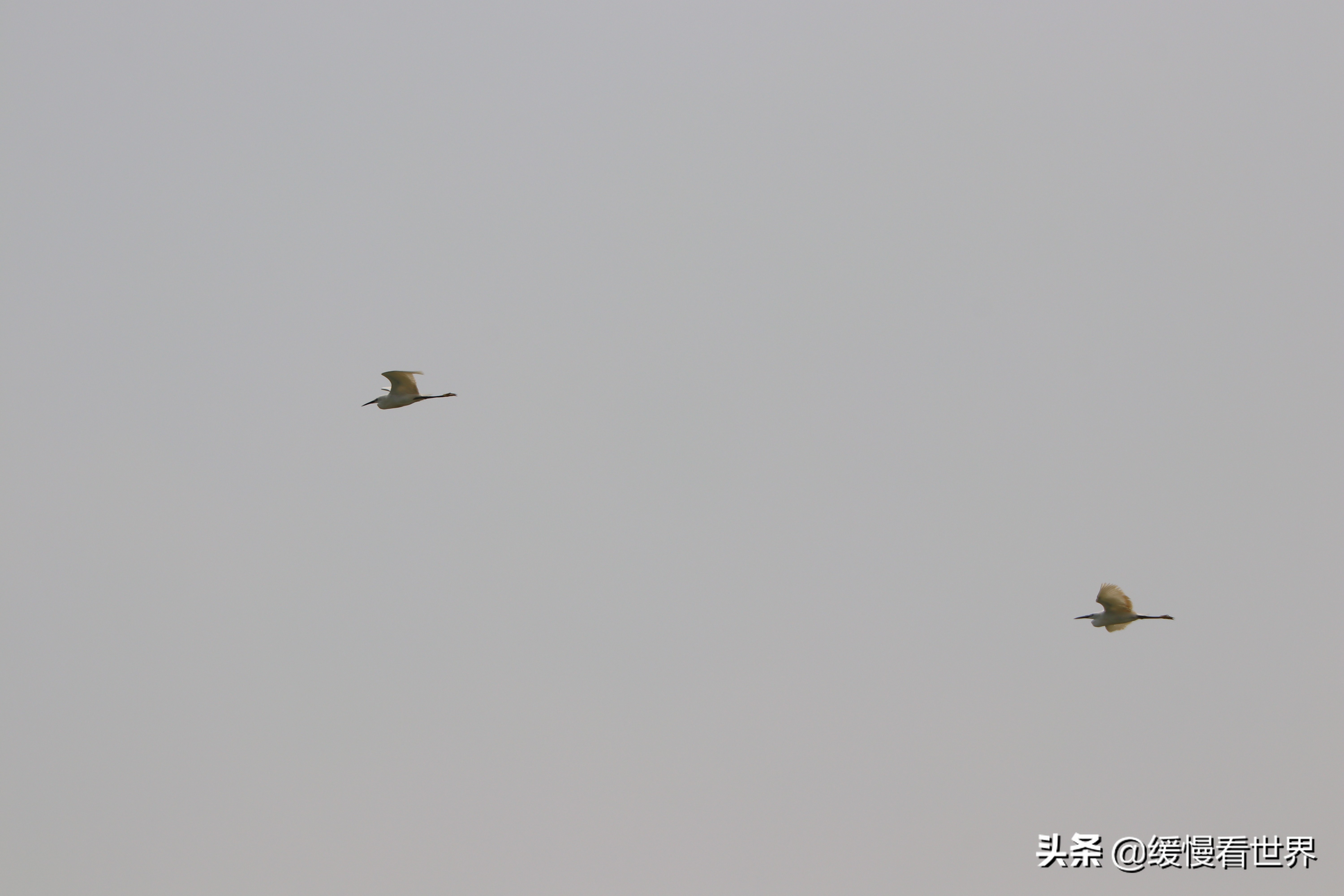 虎门威远炮台海战博物馆,虎门海战博物馆离威远炮台远吗