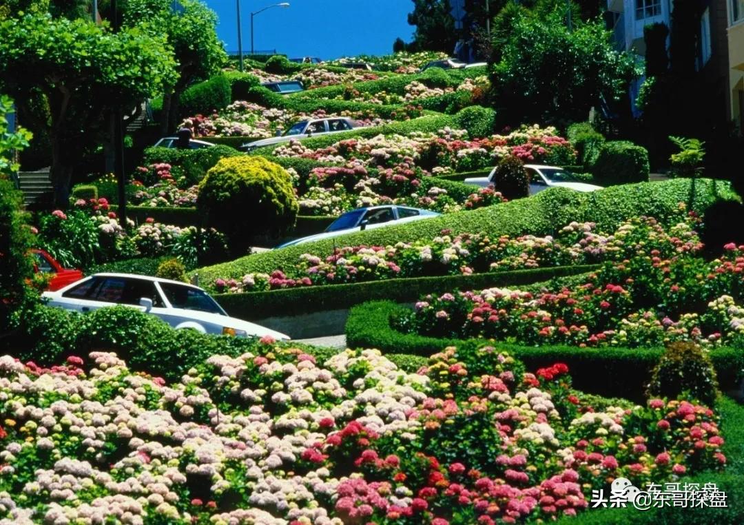 不输北龙湖顶豪,白沙已交付社区的NO.1到底长什么样?