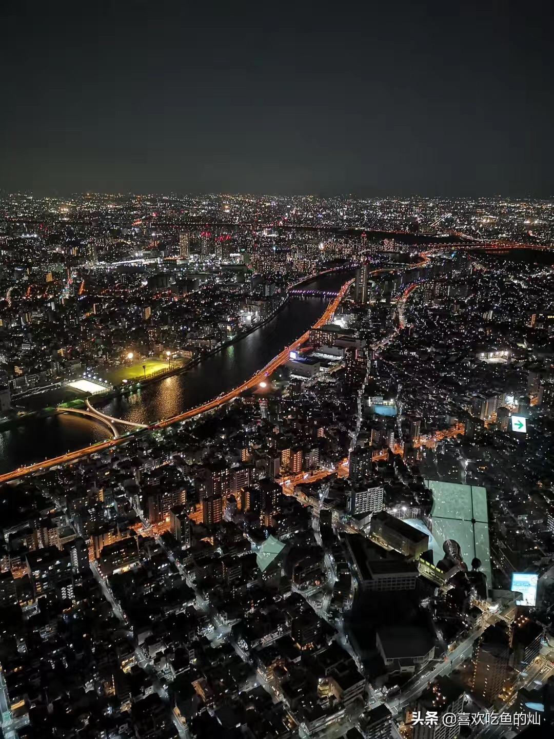 东京五日自由行攻略,日本7日京都自由行