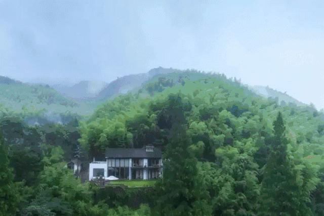 民宿投资十大骗局,民宿投资骗局