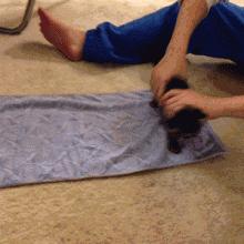 明星大撞脸你看哪个最像,明星撞脸对比