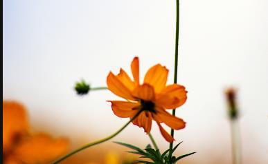 和小人纠缠,和小人一起纠缠你就输了