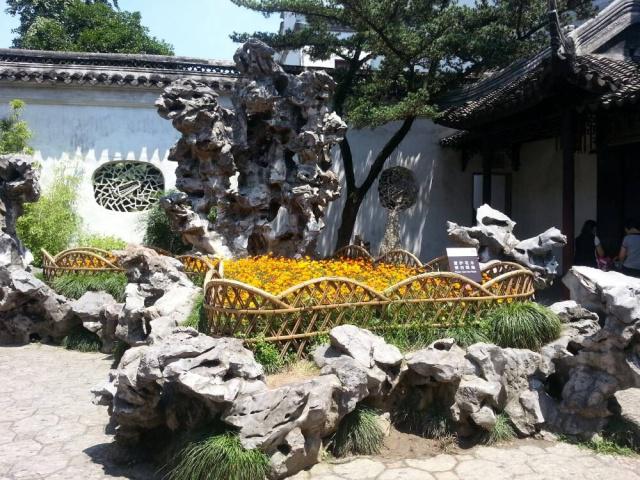 最漂亮的园林景观植物,有代表性的的园林