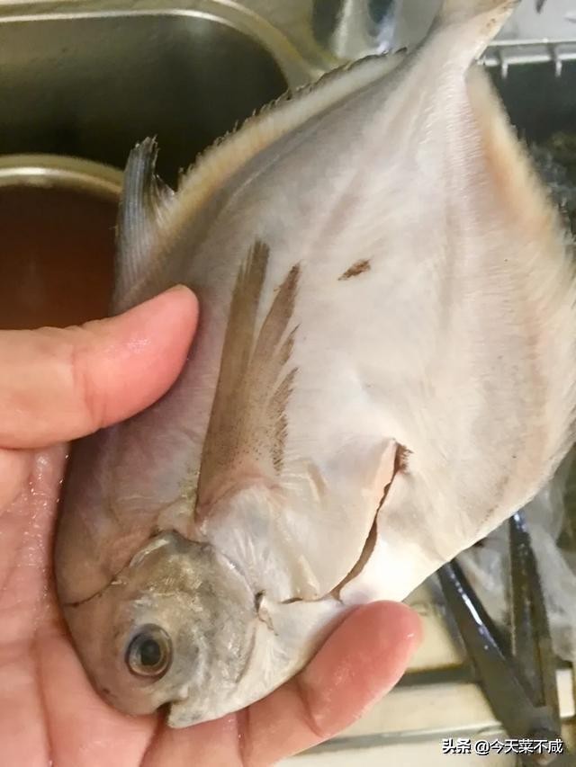 饭店大厨做平鱼最好吃的做法,美食平鱼的制作