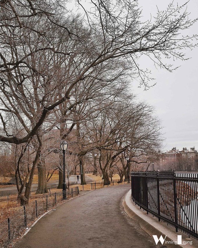 现实版未来之城纽约中央公园,纽约中央公园和北京奥体森林公园