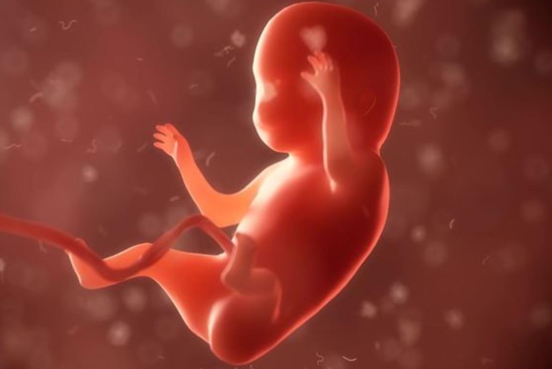 胎动幸福,第一次感受胎动时妈妈是什么心情