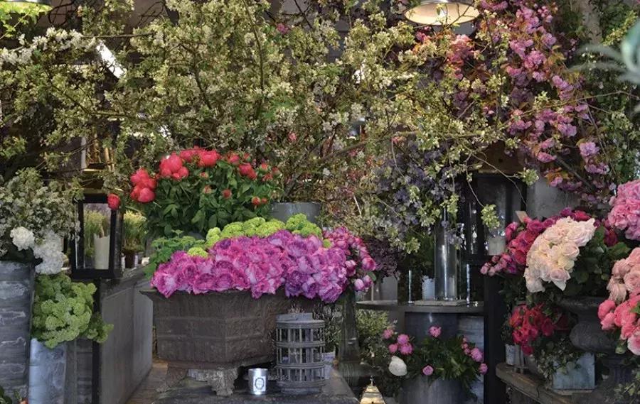 世界上超美的小花店,世界上的小花店