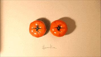 美术生！你们画画就好好画，干嘛还骗人！