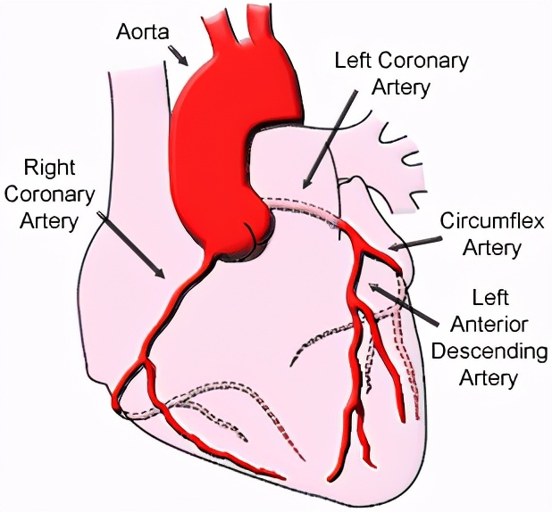 埃里克森晕倒做了什么样的手术,埃里克森植入的是全皮下icd吗