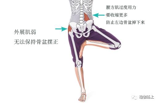 双腿并拢放平无法坐直,双腿并拢很难