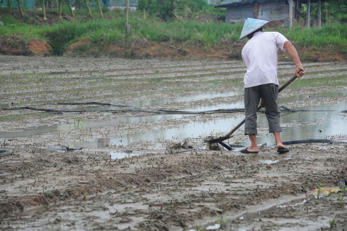 今年秋雨较多的地区有哪些,今年秋雨多是什么现象